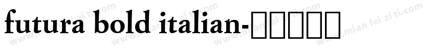futura bold italian字体转换